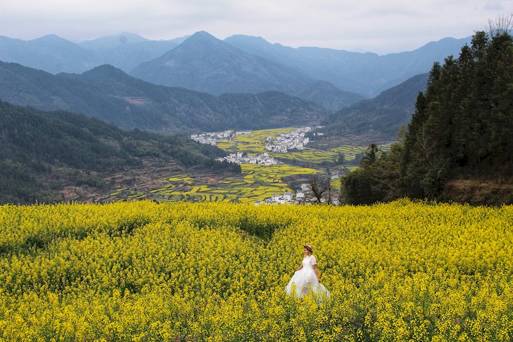 Wuyuan is known for its peaceful villages, brilliant canola blossoms, and graceful ancient homes